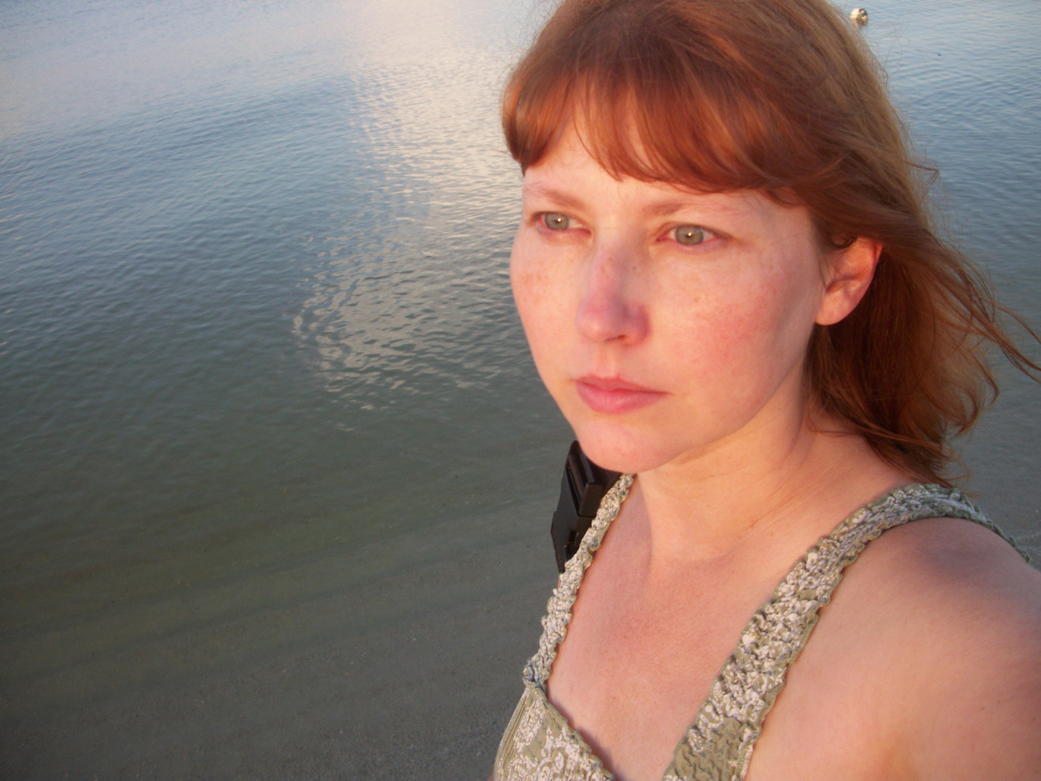 Lisa Shinault Bio