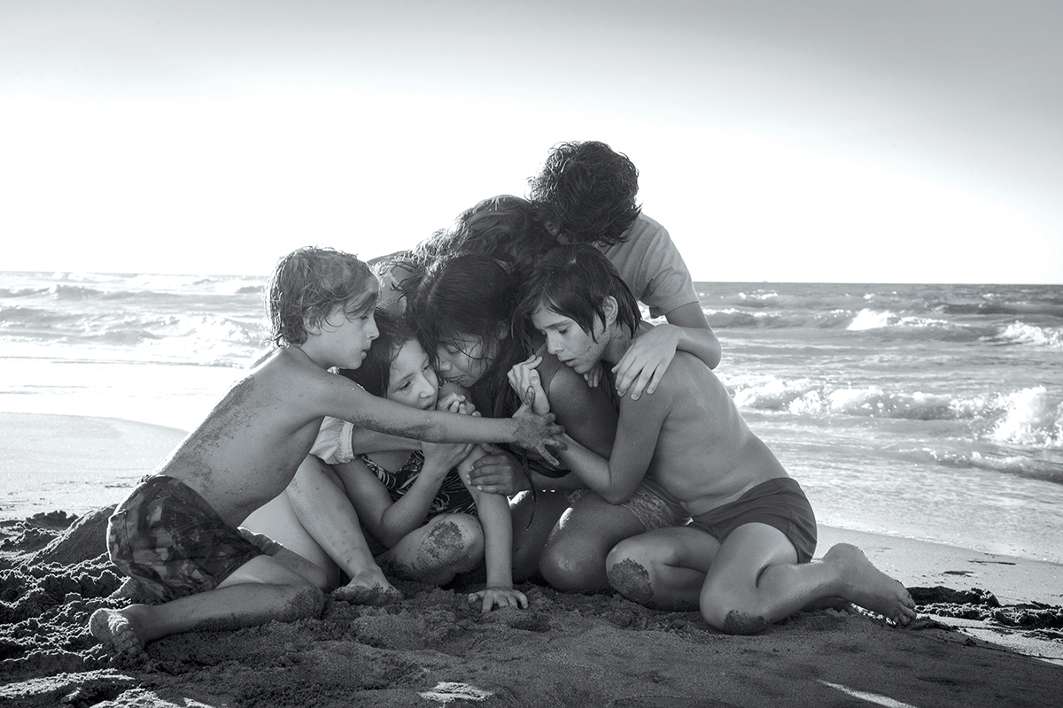 ROMA 23491 001R Web