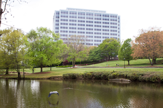 Lenox Park Magnum