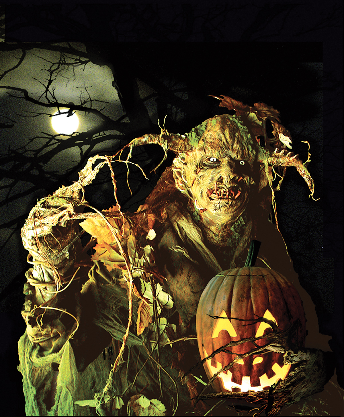 NHH Harvestman Moon