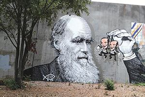 CABBAGETOWN: Wylie near Carroll St. (Artist: Sever) 
Photo by Jill Melancon
