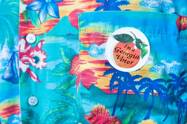 GaVoter.5a2174771faed