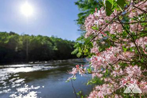 State Parks
