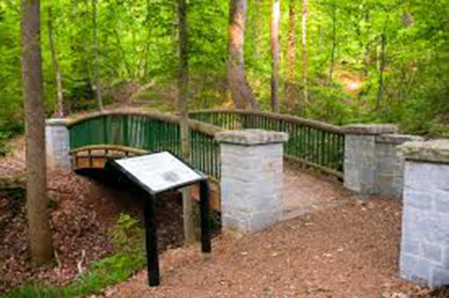 Deepdene Park