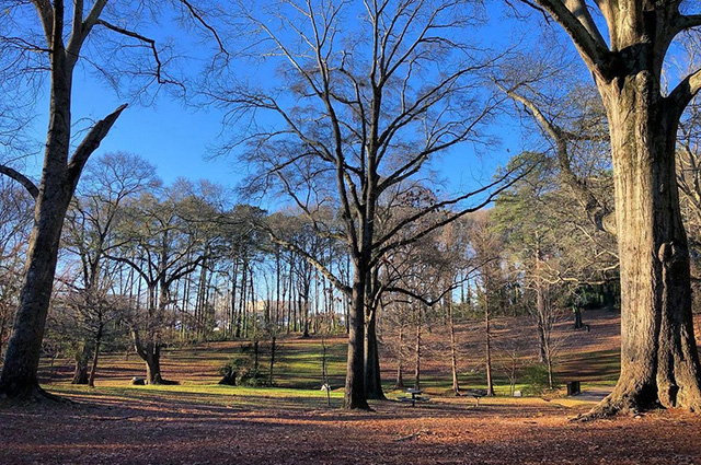 Emma Millican Park