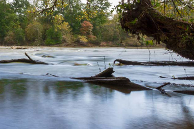Island Ford Park At The Chattahoochee River