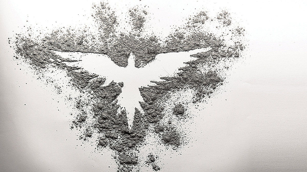 Firebird For Header Web
