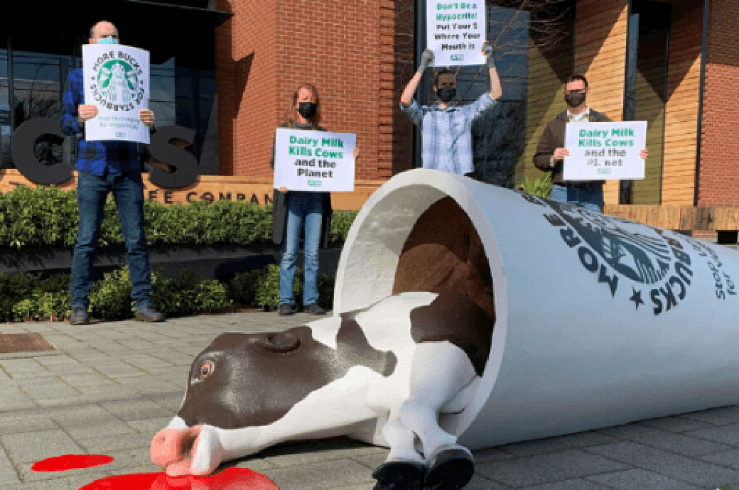 Peta In Seattle
