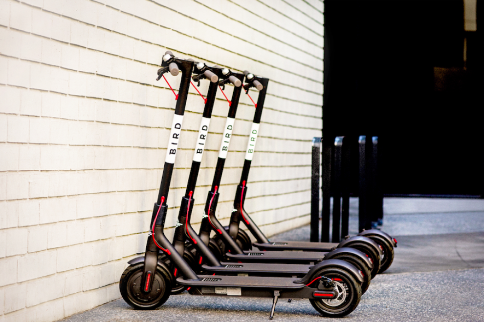 Bird Scooters Courtesy Of Bird Rides Inc.