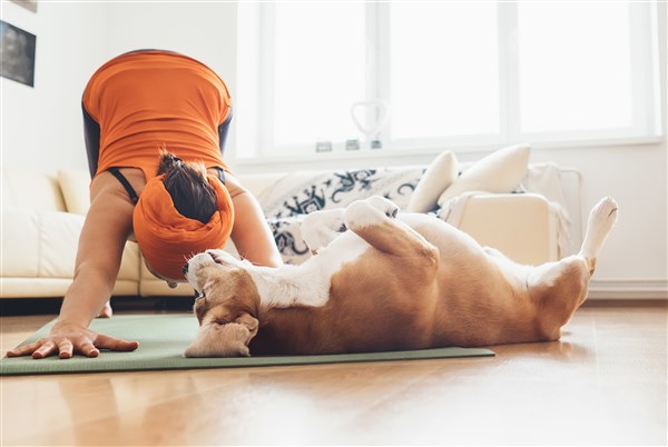 Woman Dog Sm